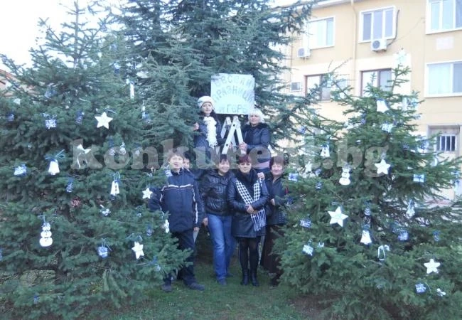 Жените от ГЕРБ Враца украсиха коледна елха