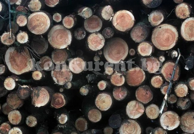 Лесничеи одрусаха бракониери с 14 000 лева