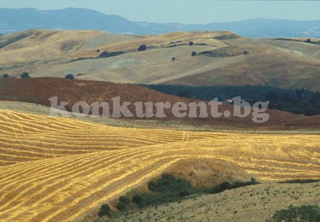 Чужденци купуват земя