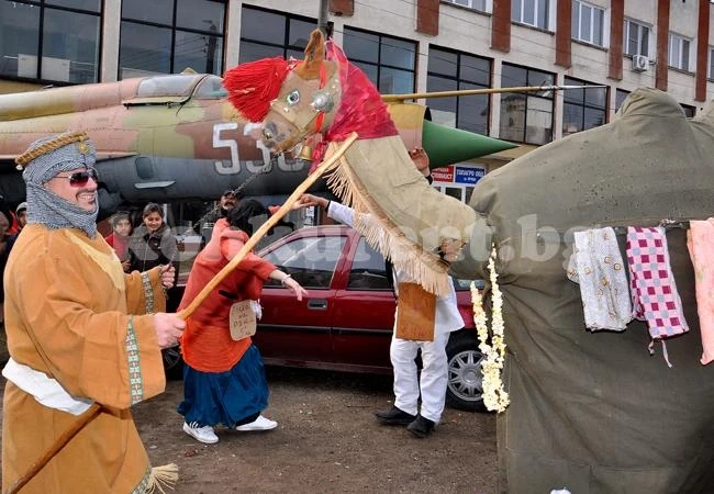 Камила прогони болестите от Габровница