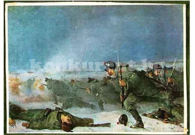 Видин отбелязва 136 години от бомбардировките