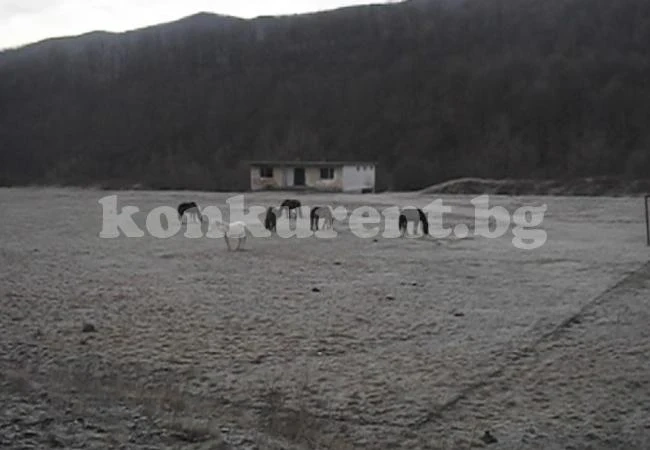 Селяни готови на бунт, коне тъпкат нивите им