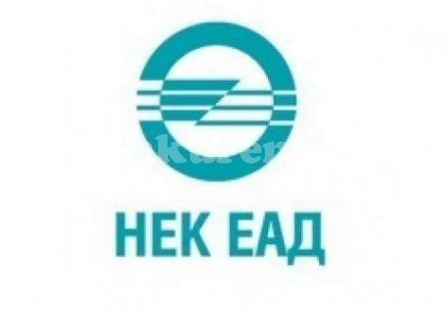 Жена оглави НЕК