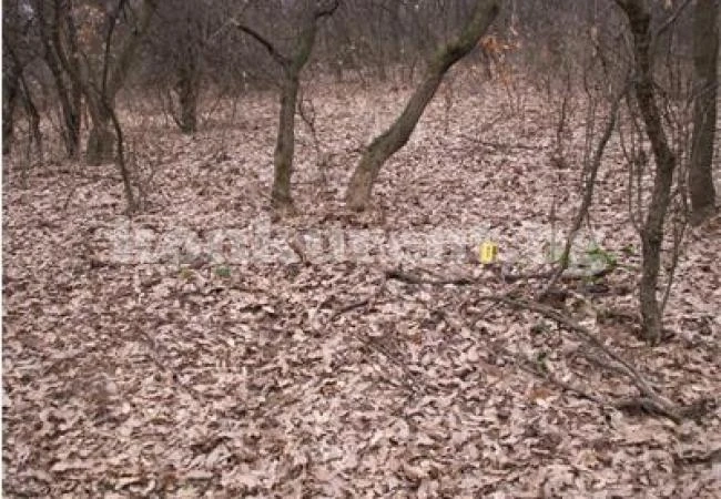 Ревнивец убива жена си, реже я на парчета и ги гори в кюмбе