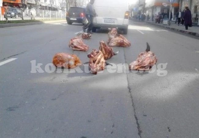 Телешки главички се търкалят из Варна