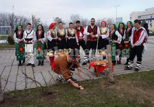 В Козлодуй украсиха Дърво на влюбените