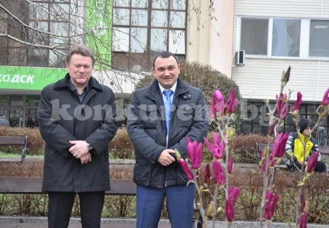 Кметът на Видин засади магнолия по повод 8 март