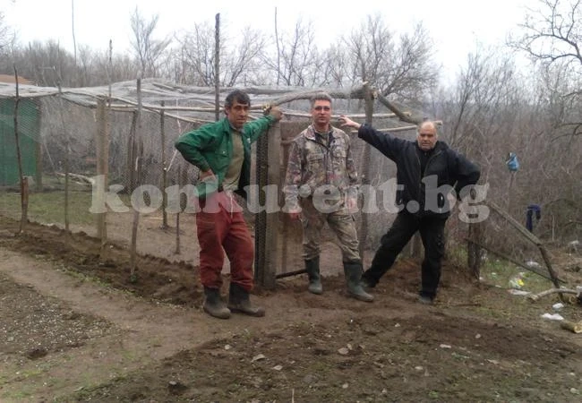 Разселват фазани край река Дунав
