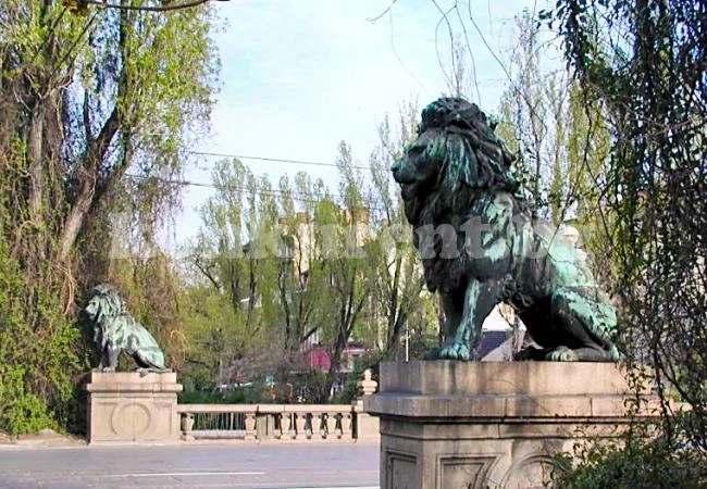 Масов бой между бежанци на Лъвов мост