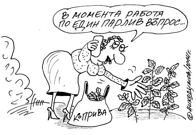 Коприва