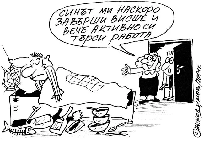 Образование