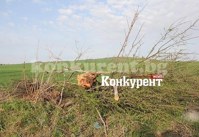 Полицай загина в зверска катастрофа