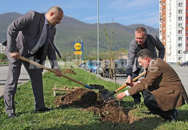 Кметове садиха фиданки