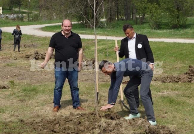 В Бяла Слатина засадиха 100 дръвчета