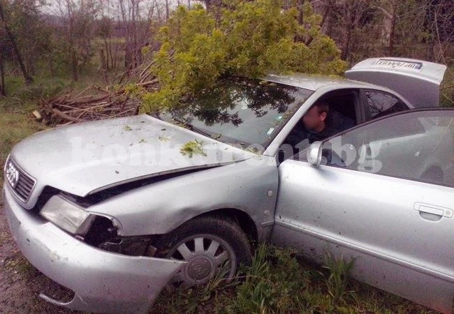 “Ауди” изхвърча от пътя