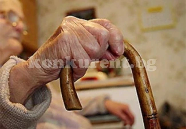 Откриха изгубена в гората баба, тръгнала за съчки