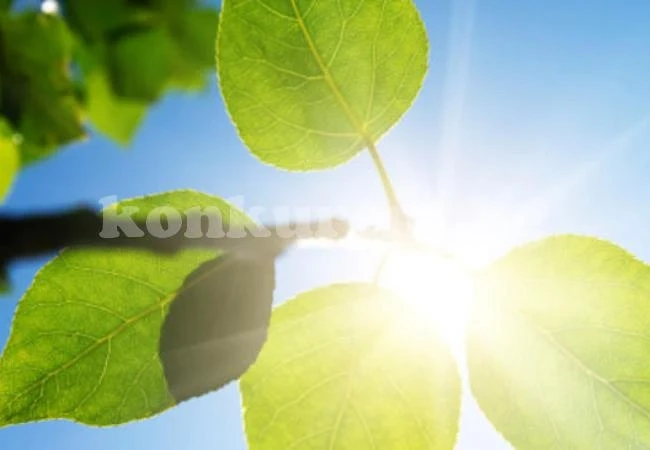 Слънце до края на седмицата