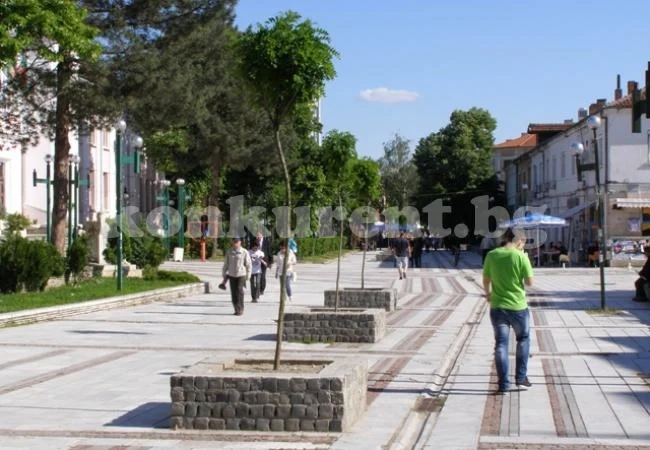 Раззелениха се акациите, подарени от кмета на Видин