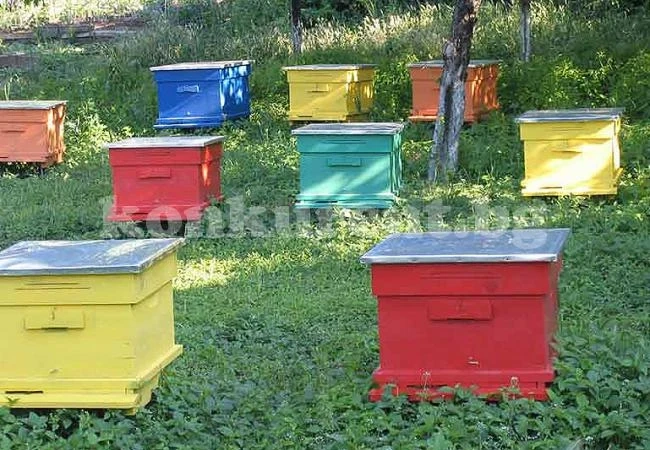 Полицията хвана мъж, откраднал кошери