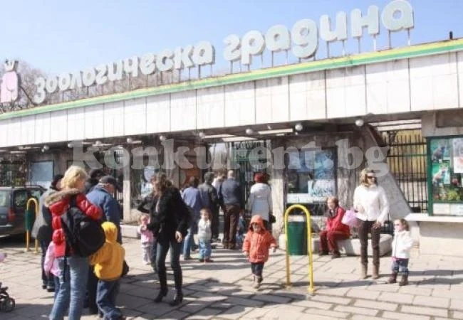 Зоопаркът в столицата отваря врати за децата днес