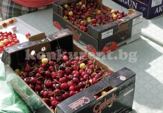 Дъждът съсипва черешовата реколта в Кюстендил