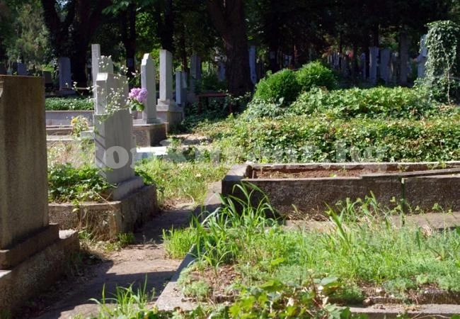 Затворник краде, докато копае гробове