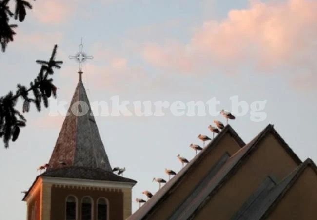 Хванаха крадец, задигнал пари от католическа църква