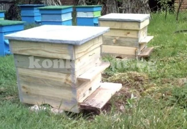 Ченгета търсят пчелни кошери