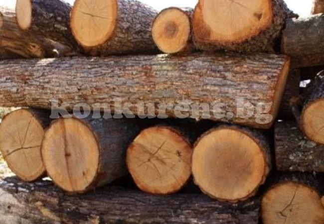 13-годишно момче бере душа, пострадало при извозване на дърва