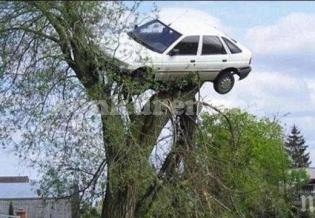 Кола кацна върху дърво