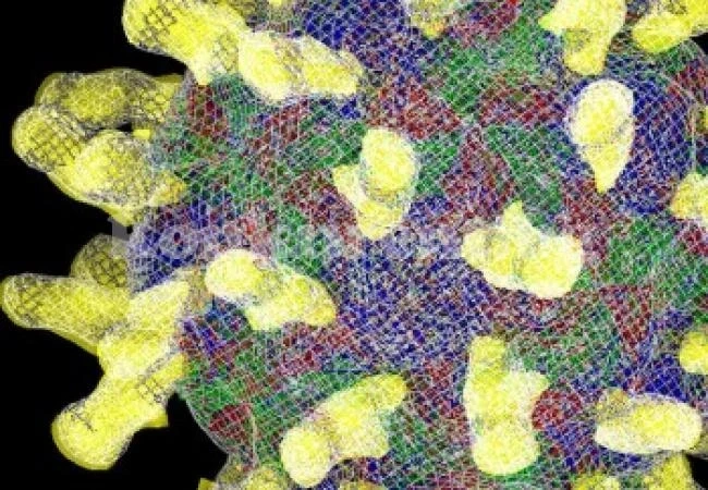 Разработват нов метод срещу инфекции след трансплантация