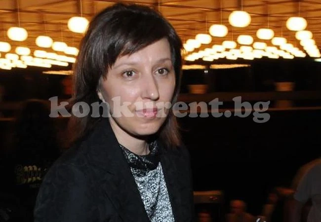ДПС вицепрезидент на групата на АЛДЕ в ЕП