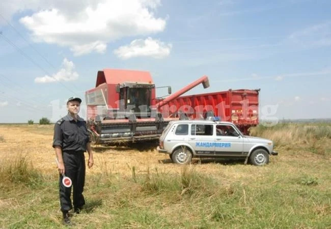 И жандармерията влезе в нивите