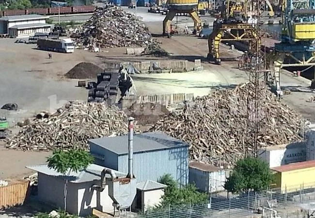 Еколог сигнализира за износ на огромни количества дървен материал