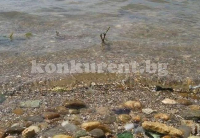 Специалисти от Военноморските сили обезвредиха опасна морска мина