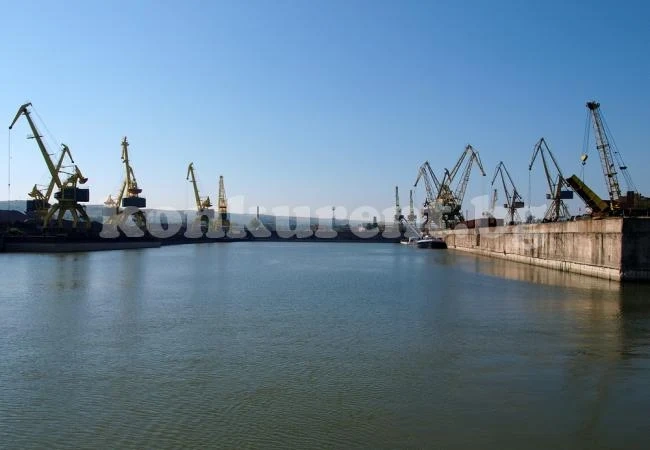 Хванаха нарушители на пристанището в Лом