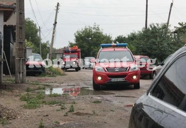 Спасители махат паднали дървета от улиците