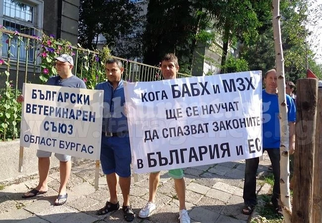 Ветеринари протестират заради брадва в цените