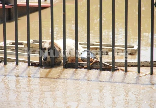 Водният ад в Мизия /снимки част 6/