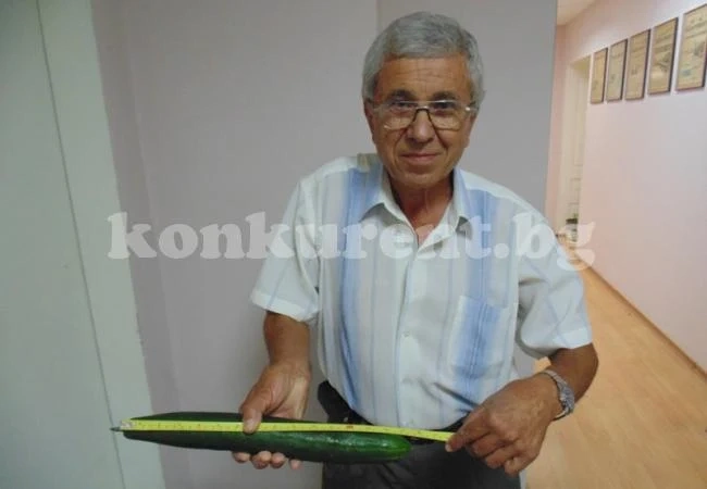 Краставица гигант се пръкна във Враца
