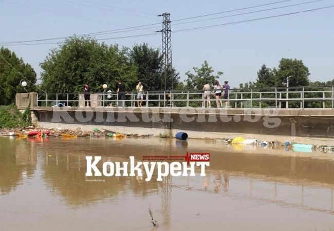 Извънредно заседание заради умрелите животни в Мизия