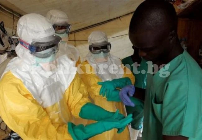 Ваксина срещу Ебола ще бъде готова до лятото на 2015 г.