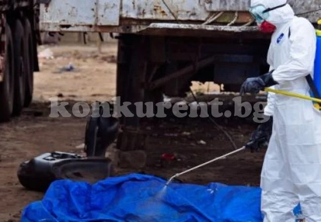 Сърбия е на нокти: 14 души са под наблюдение заради риск от Ебола