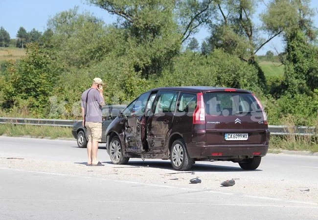 Врачанин се натресе в дърво на пътя Мездра-Враца /СНИМКИ/