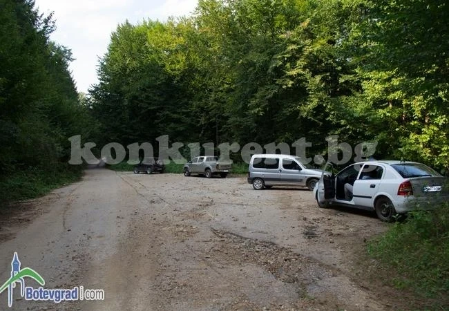 Дърво падна върху секач и го уби