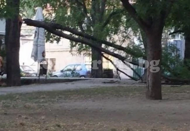 Огромен клон падна пред детска градина