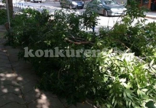 Огромен клон се стовари на оживена улица