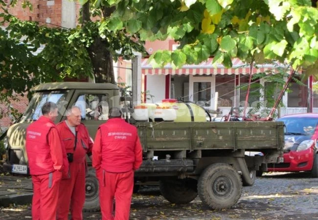 Дезинфекцират сгради и дворове в Берковица