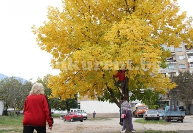 Днес отново ще е слънчево, температурите до 25°