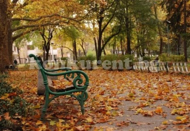 Облачно на места преди обяд, но топло време днес